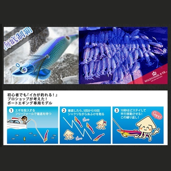 ワイルドチェイス2.5B-TR